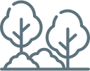 Garden Plot